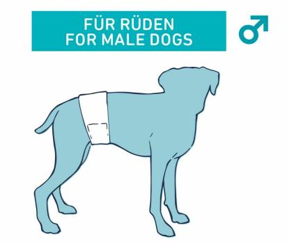 60 Stück Rüdenwindeln - Einwegwindeln für Rüden bei Inkontinenz oder ansteckenden Krankheiten